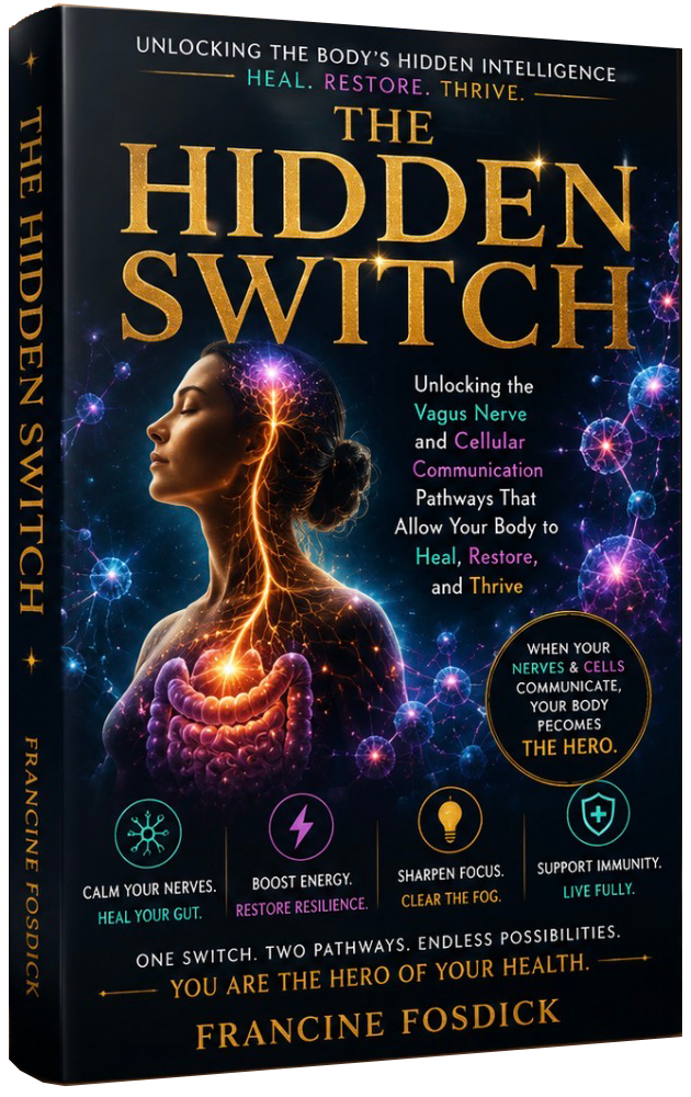 The Hidden Switch Book Cover
